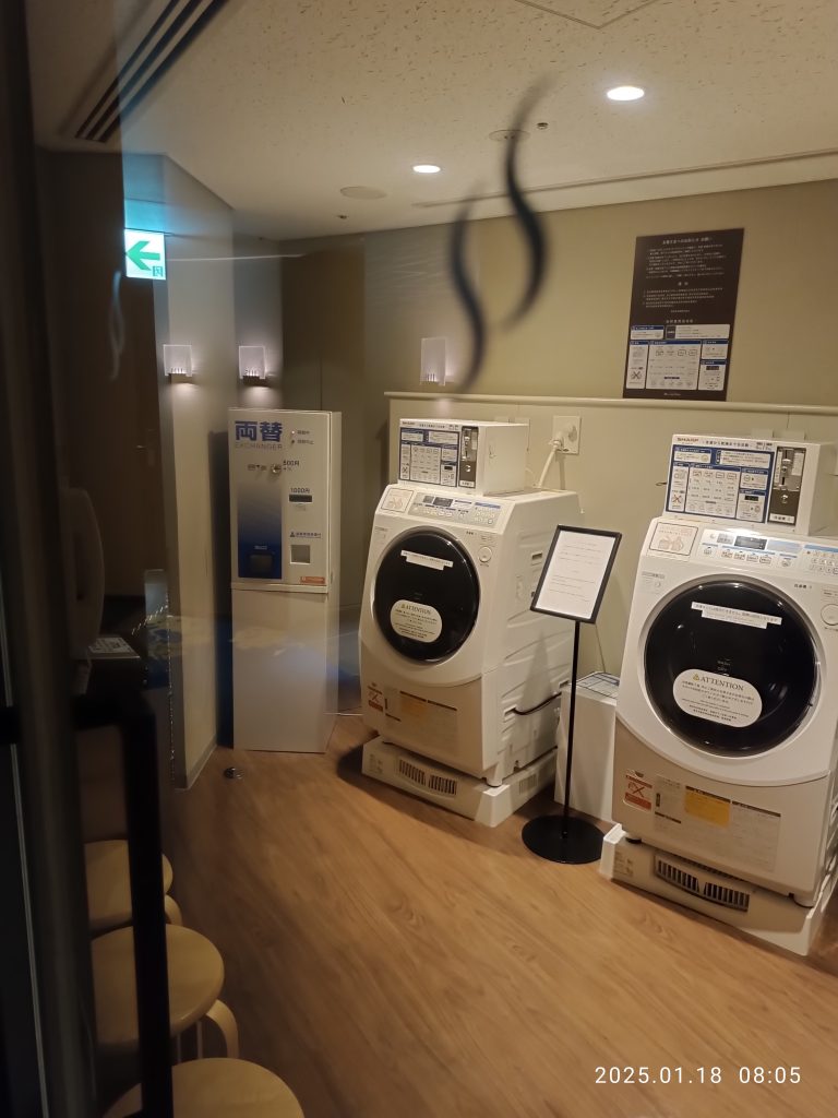 Washing machine with laundry load